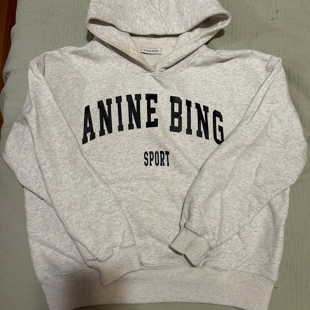 Anine Bing Sport Gray Hoodie